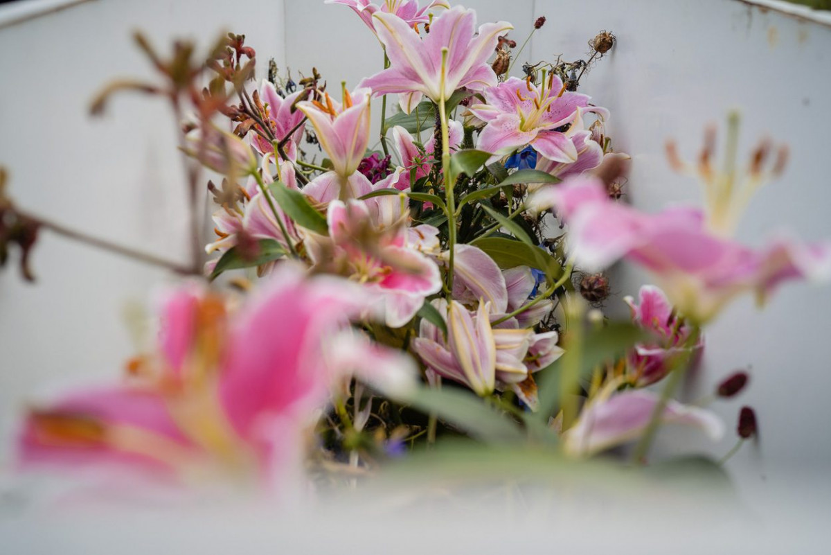Bunte Blüten bei der Ausstellung Moving Plants im Frankfurter Palmengarten.