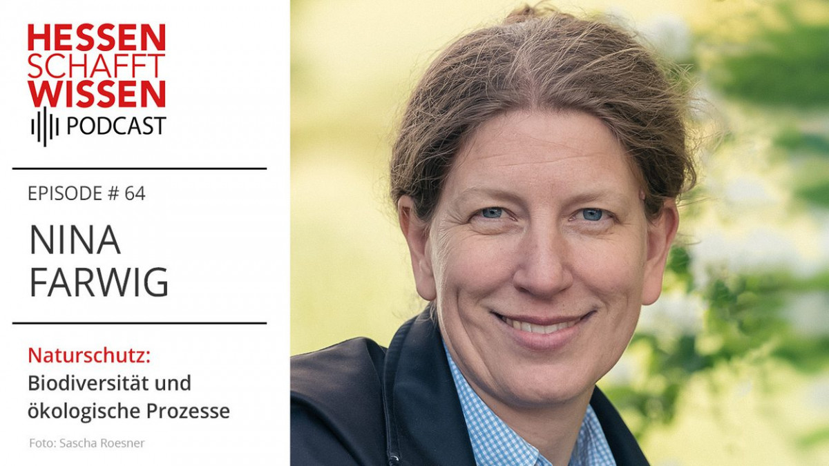 Nina Farwig, Professorin für Naturschutz an der Philipps-Universität Marburg