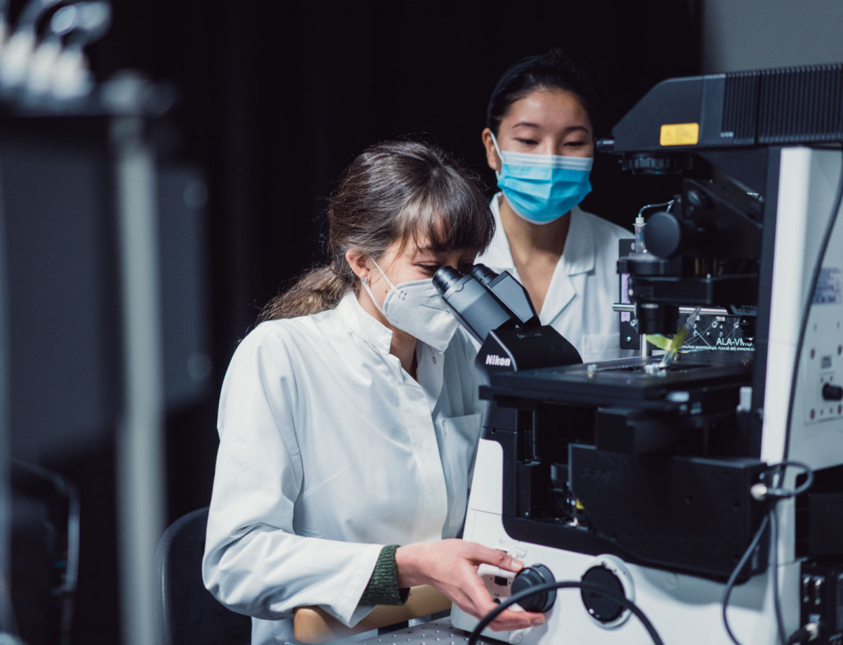 Am Institut für Pharmakologie und Klinische Pharmazie an der Philipps-Universität Marburg wird an neuen Methoden gearbeitet, medizinische Wirkstoffe effektiver und mit weniger Nebenwirkungen als bisher verabreichen zu können.