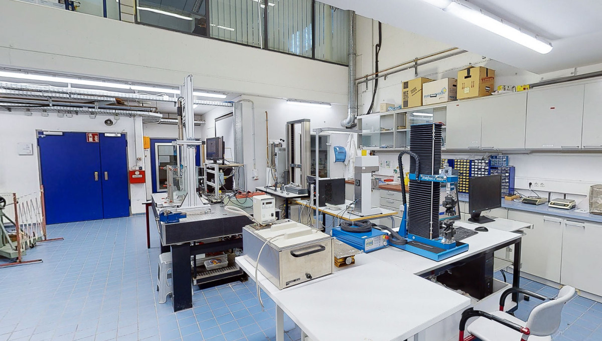 Aus der Natur lernen die Biomechanik 1 Hessen schafft Wissen