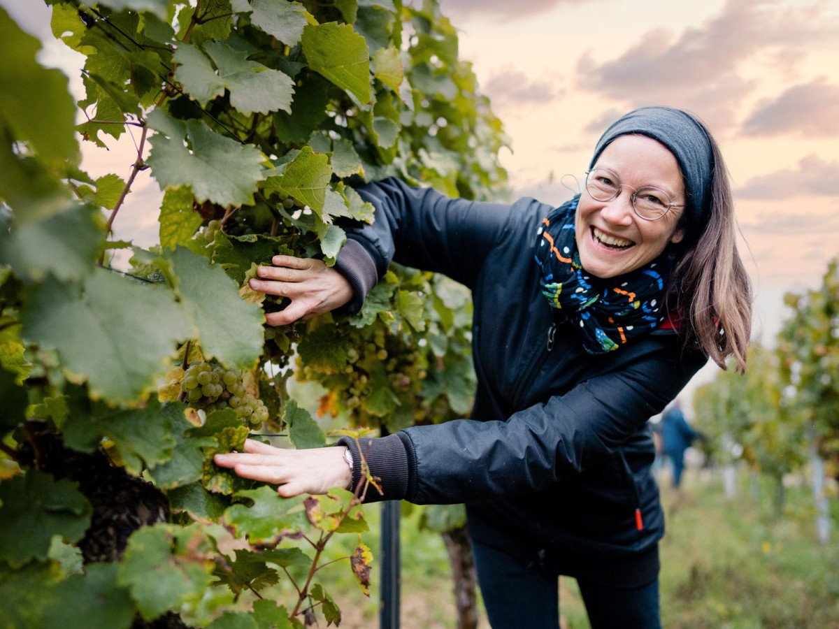 01_oekologischer_weinanbau_geisenheim-15_web_1600