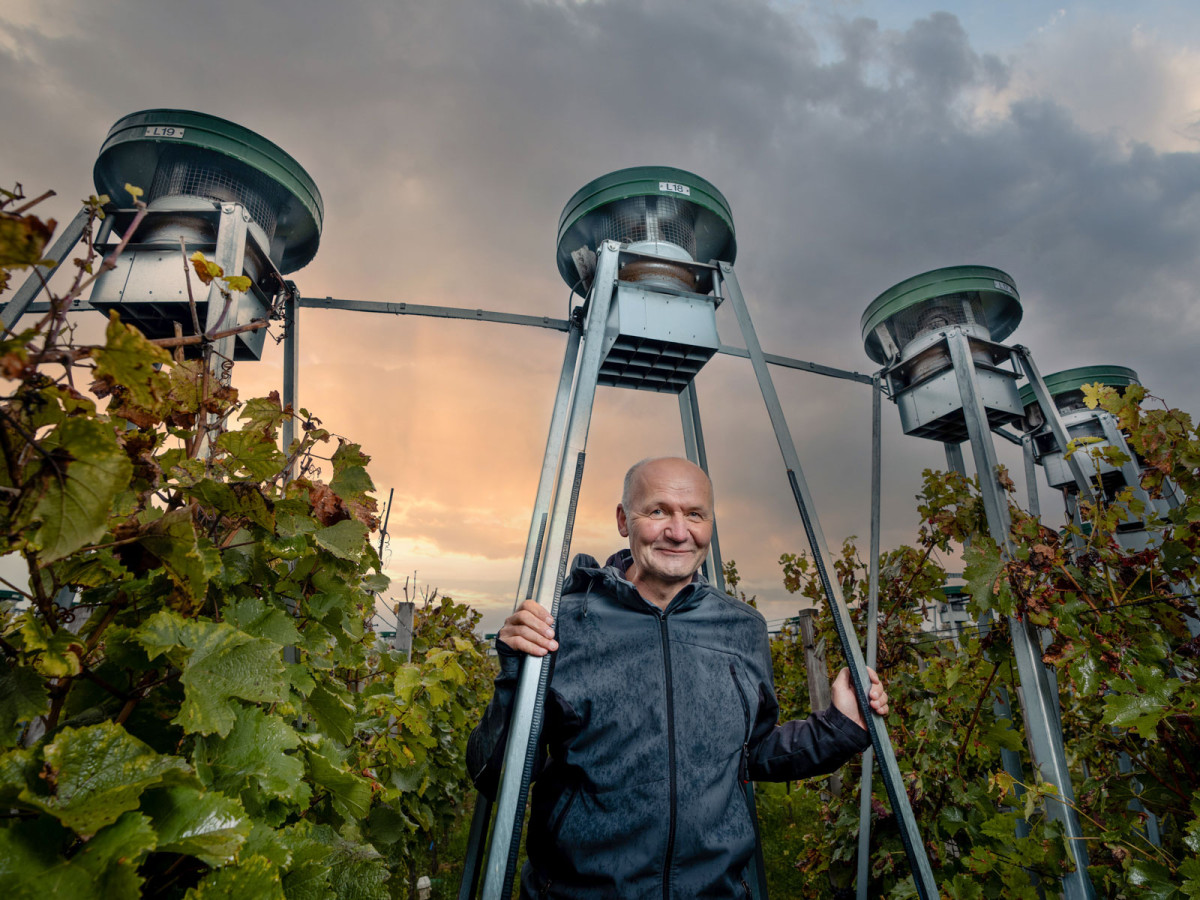 03_oekologischer_weinanbau_geisenheim-34_web_1600