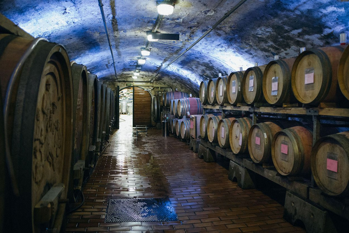 Weinfässer lagern in einem Keller