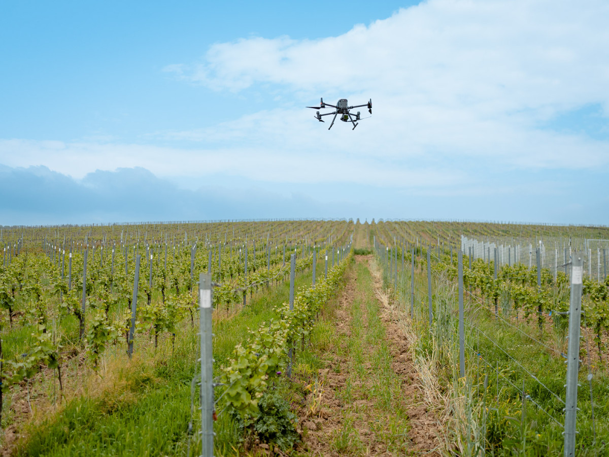 2_hessen-schafft-wissen-diwakopter-hs-geisenheim@steffen-boettcher-web-26