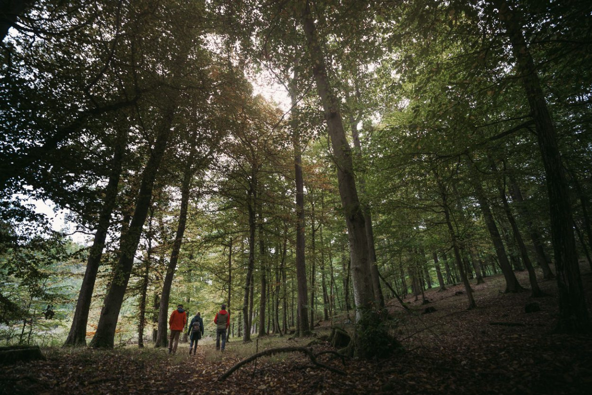 Mitarbeiter der Philipps-Universität Marburg im Wald