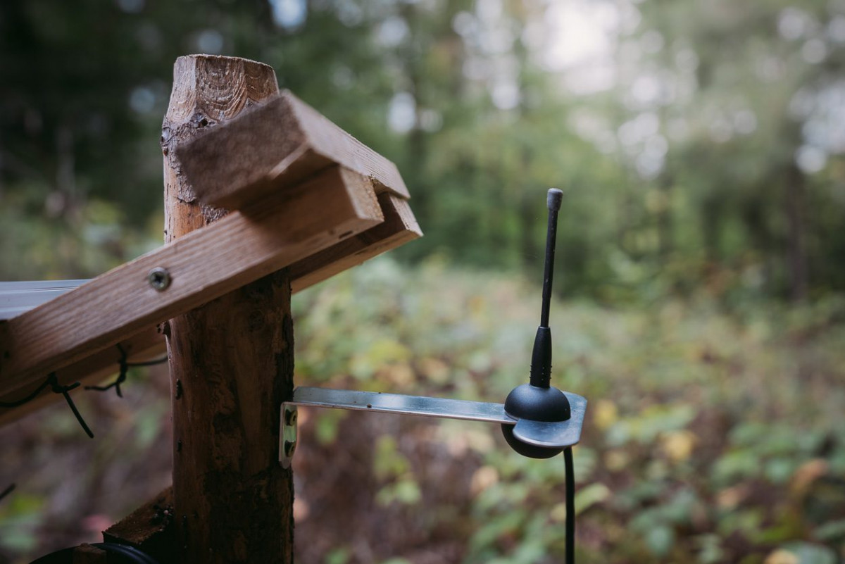 Ein Sensor im Wald