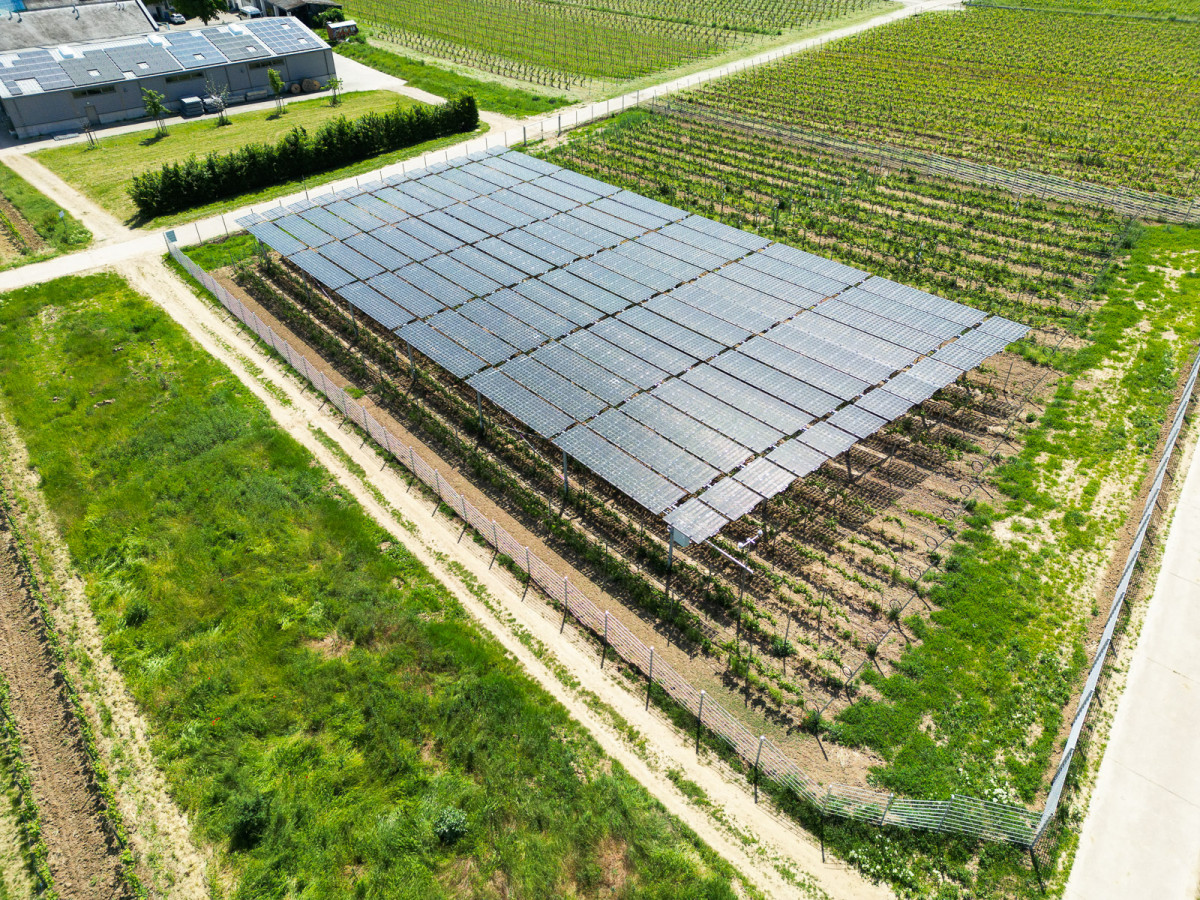 5_hessen-schafft-wissen-agri-photovoltaik-goethe-uni@steffen-boettcher-32-web