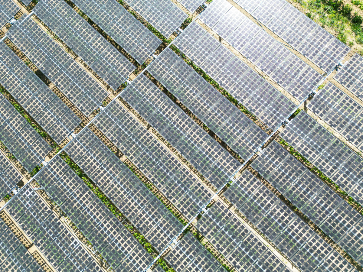 6_hessen-schafft-wissen-agri-photovoltaik-goethe-uni@steffen-boettcher-34-web