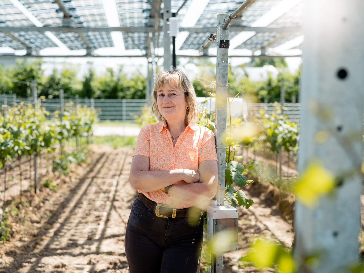 4_hessen-schafft-wissen-agri-photovoltaik-goethe-uni@steffen-boettcher-19-web