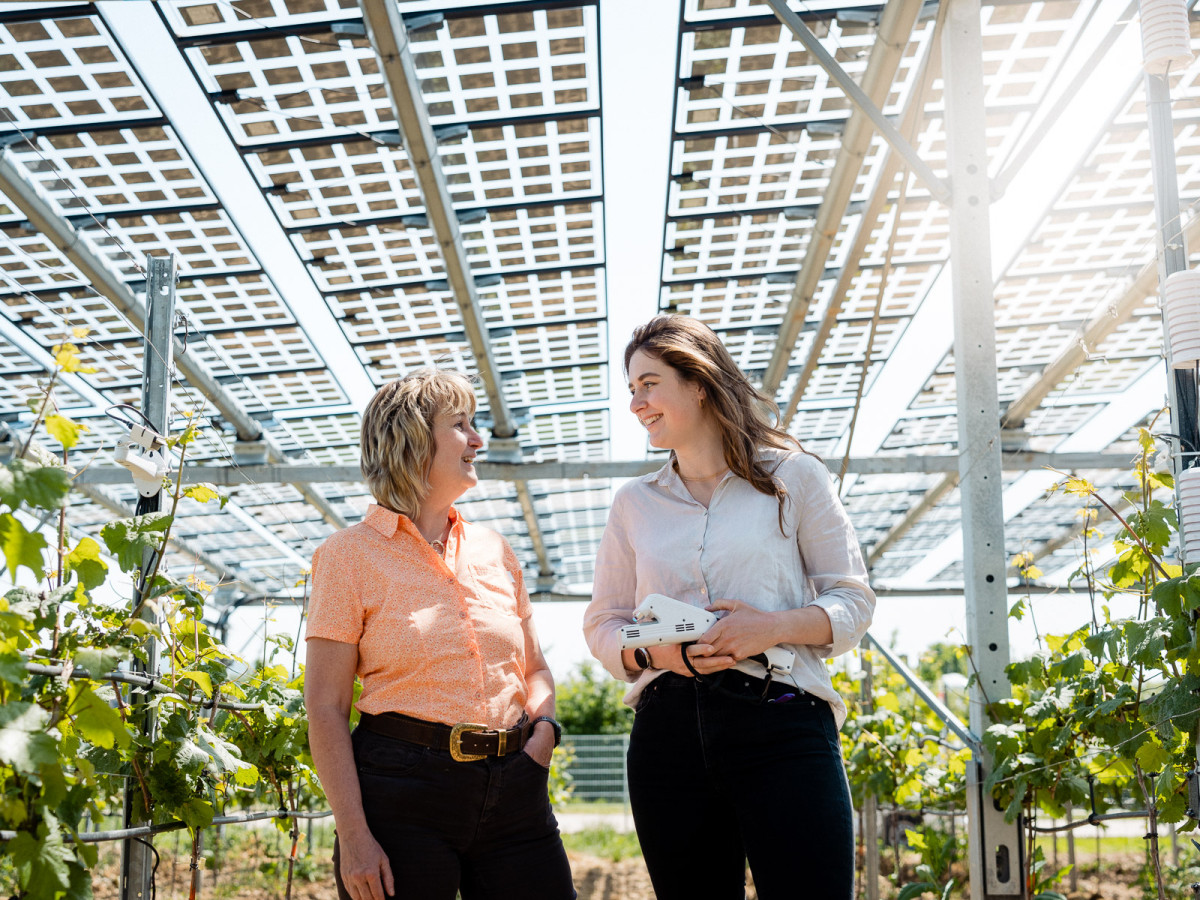 1_hessen-schafft-wissen-agri-photovoltaik-goethe-uni@steffen-boettcher-12-web