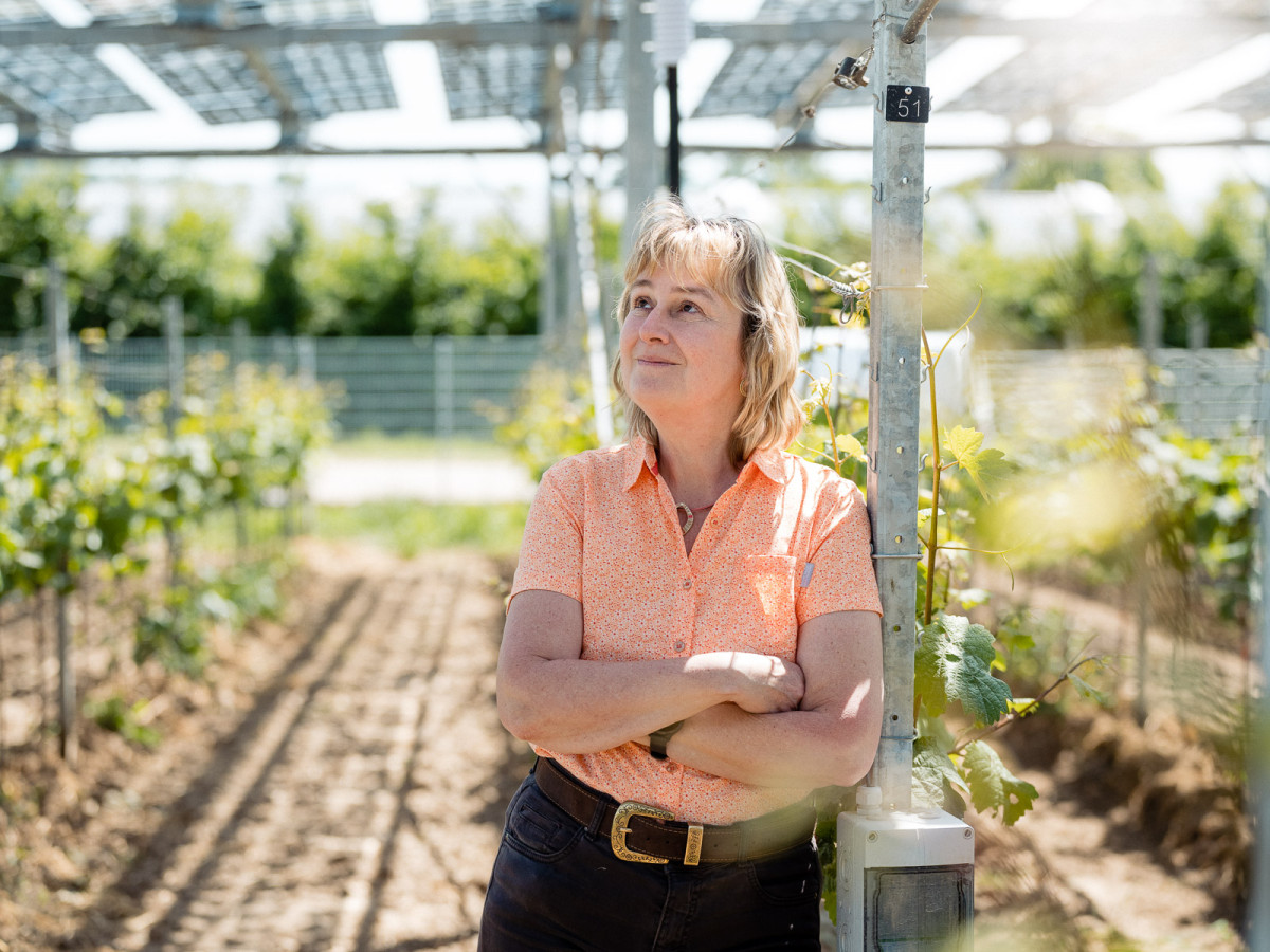 5_hessen-schafft-wissen-agri-photovoltaik-goethe-uni@steffen-boettcher-18-web