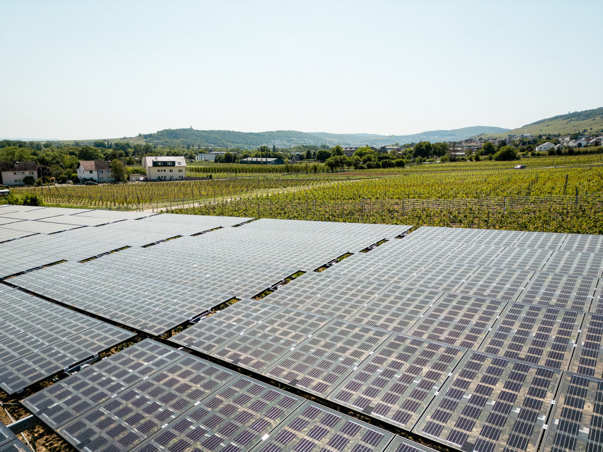7_hessen-schafft-wissen-agri-photovoltaik-goethe-uni@steffen-boettcher-37-web