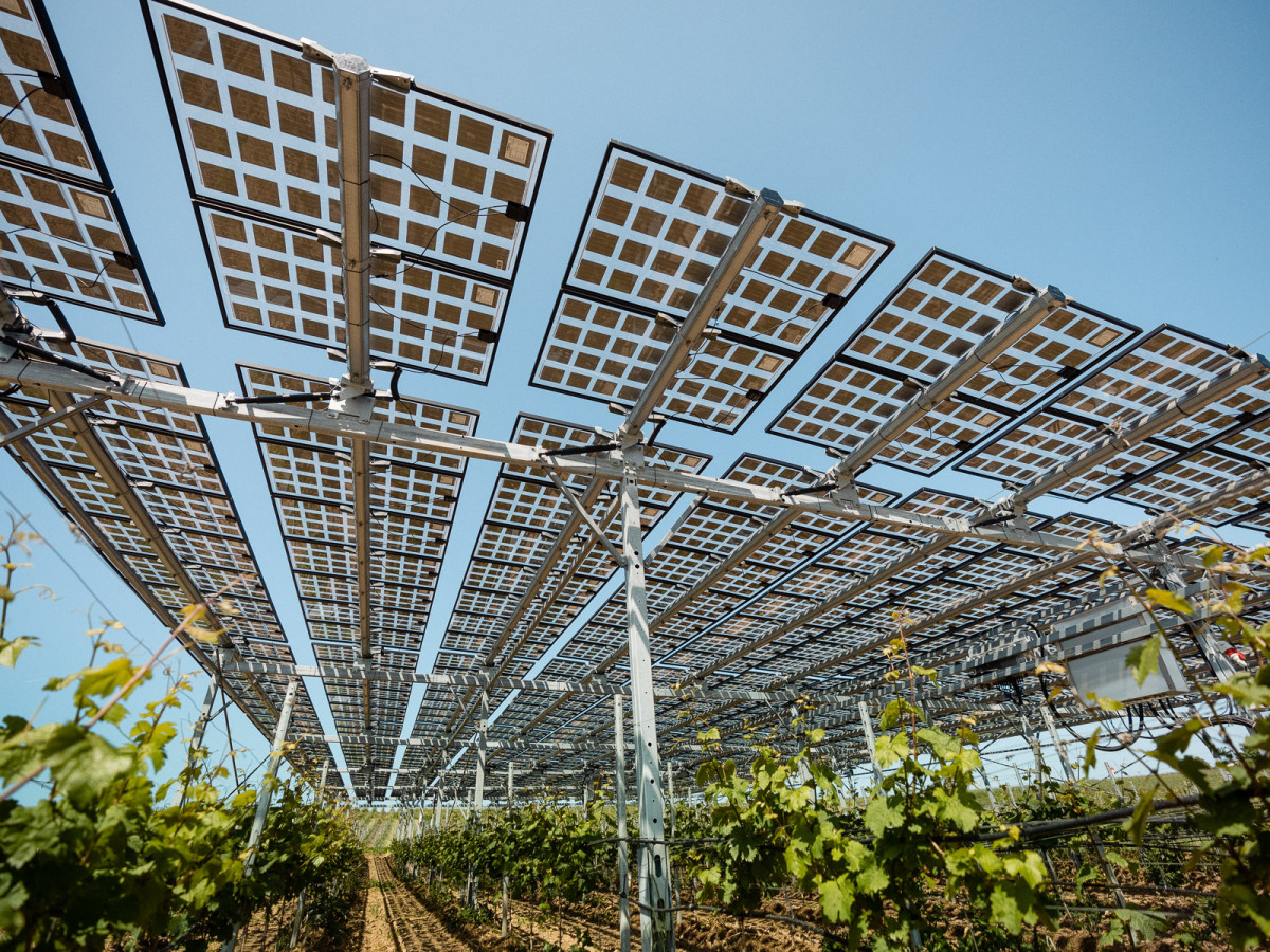 2_hessen-schafft-wissen-agri-photovoltaik-goethe-uni@steffen-boettcher-21-web