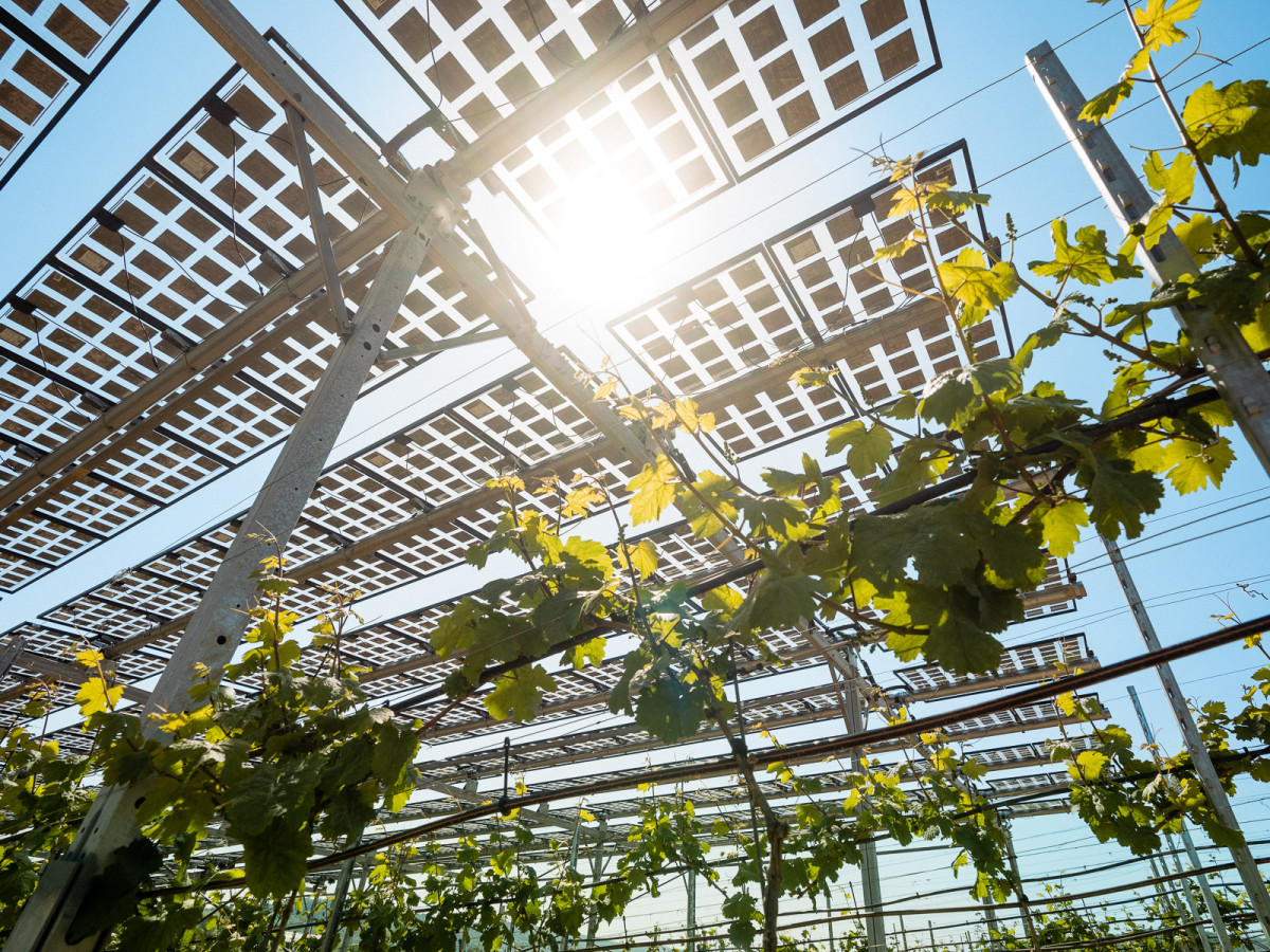 01_hessen-schafft-wissen-agri-photovoltaik-goethe-uni@steffen-boettcher-25-web