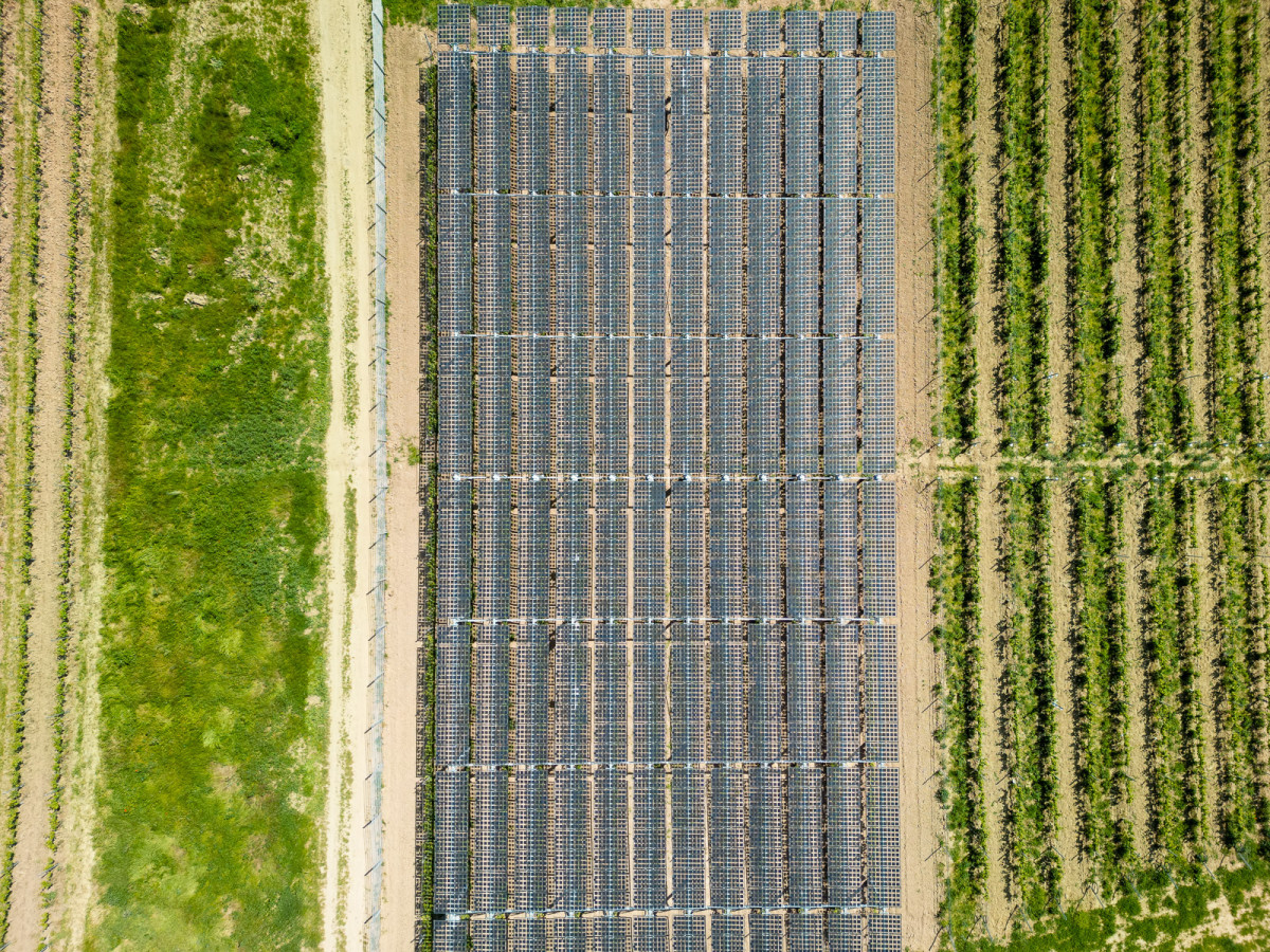 6_hessen-schafft-wissen-agri-photovoltaik-goethe-uni@steffen-boettcher-35-web