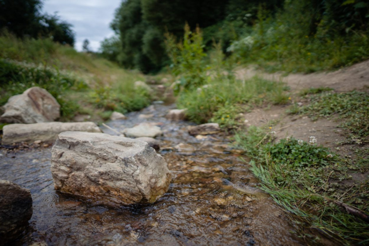 Ein Bergbach in der Natur