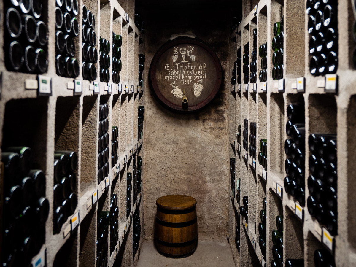 Im Rheingau reiht sich ein Weingut an das andere – ein Paradies für Weinliebhaber. Mitten in diesem Idyll ist die Hochschule Geisenheim eine der wichtigsten wissenschaftlichen Anlaufstellen, um sich der Lehre des Weinbaus zu widmen.