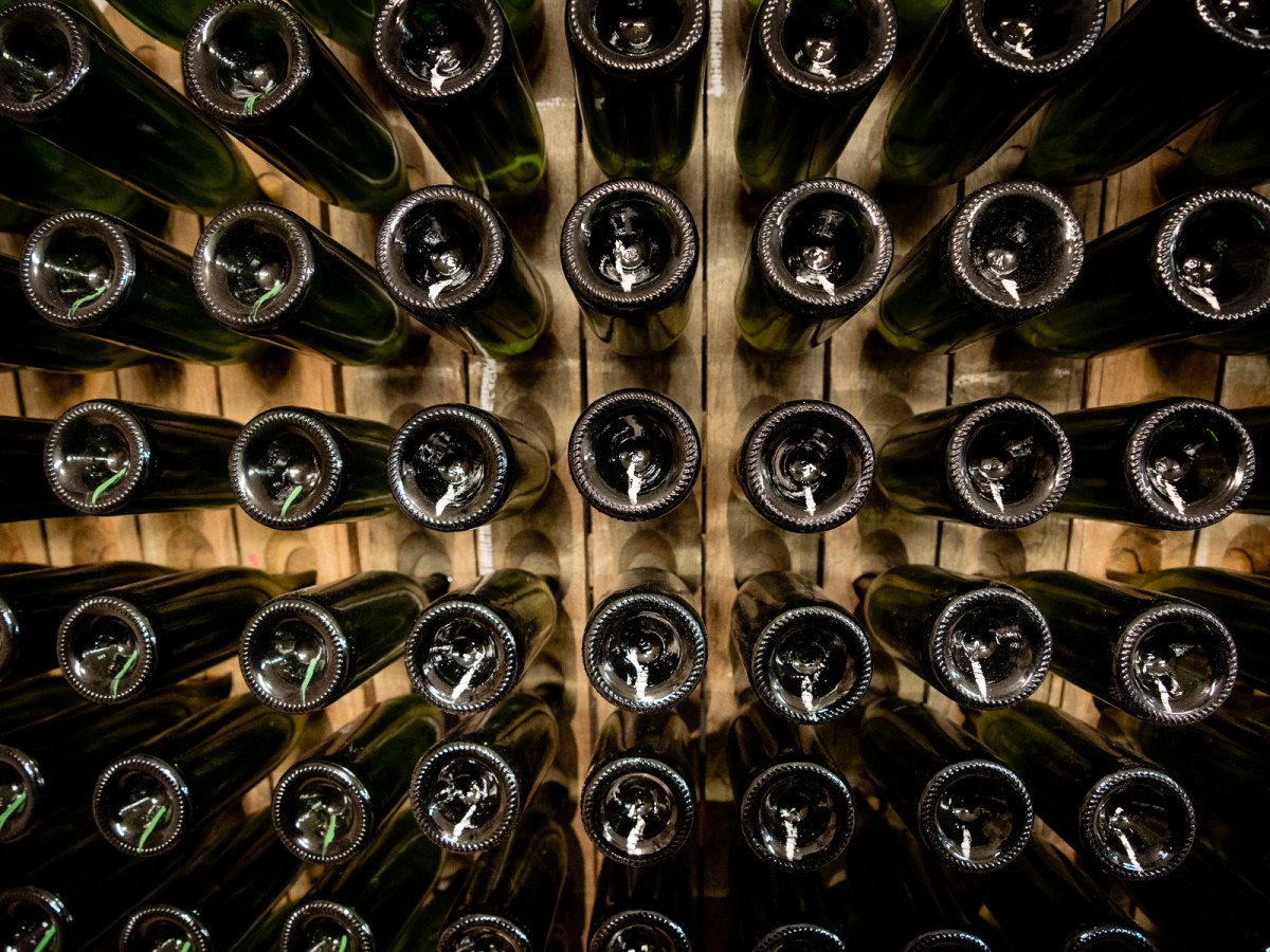 Im Rheingau reiht sich ein Weingut an das andere – ein Paradies für Weinliebhaber. Mitten in diesem Idyll ist die Hochschule Geisenheim eine der wichtigsten wissenschaftlichen Anlaufstellen, um sich der Lehre des Weinbaus zu widmen.