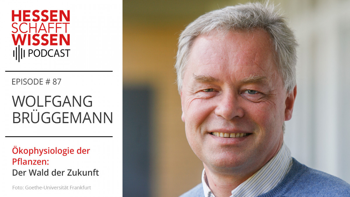 Podcast Wolfgang Brüggemann Hessen schafft Wissen