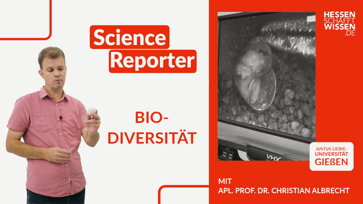 hsw_sr_albrecht_biodiversitat_thumbnail_v0