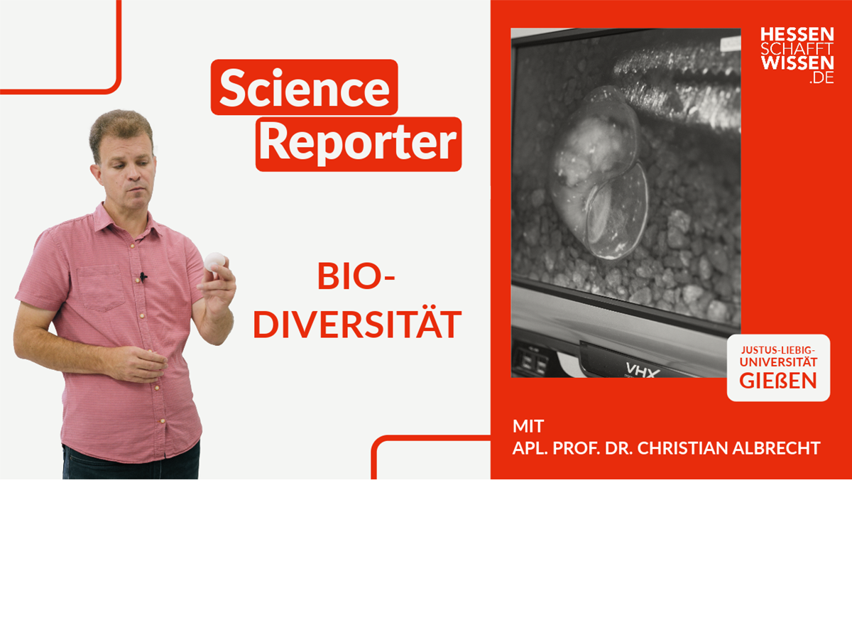 hsw_sr_albrecht_biodiversitat_thumbnail_1200x880px_v0