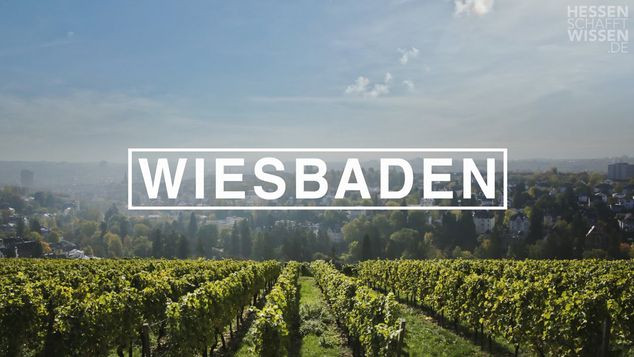 Blick über die Weinberge nach Wiesbaden