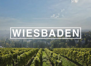 Blick über die Weinberge nach Wiesbaden