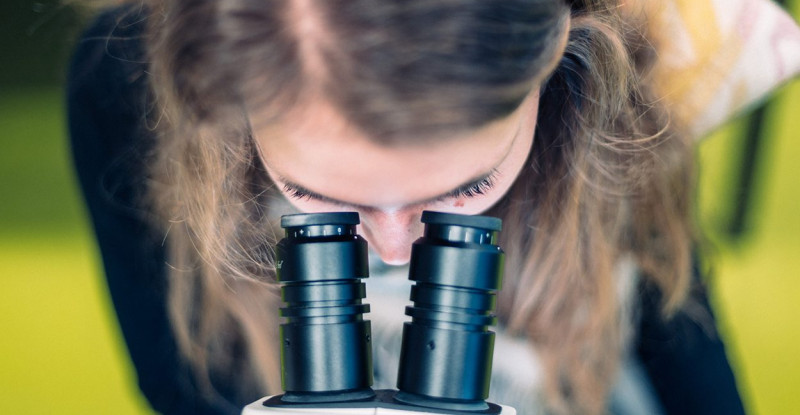 Eine Studentin schaut in ein Mikroskop