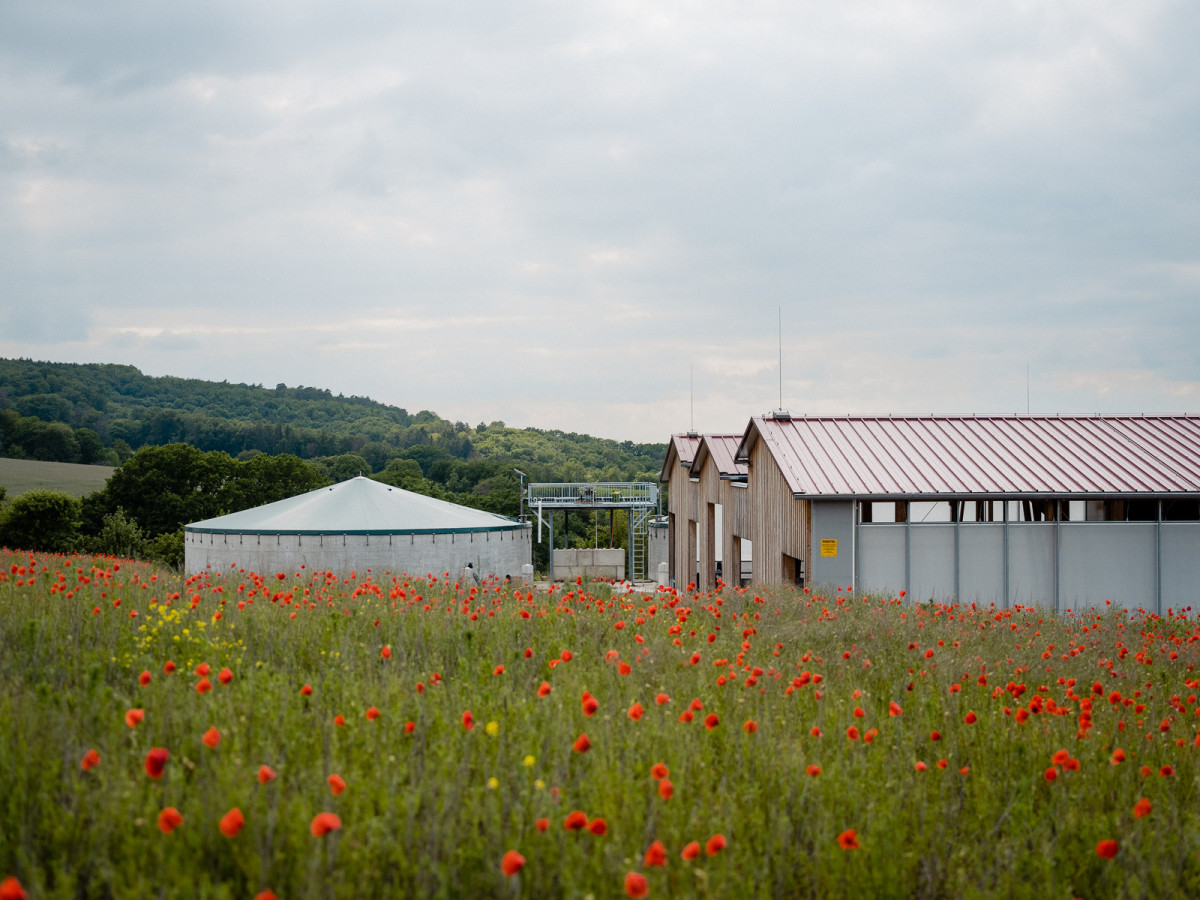 9_hessen-schafft-wissen-green-diary@steffen-boettcher-51-web