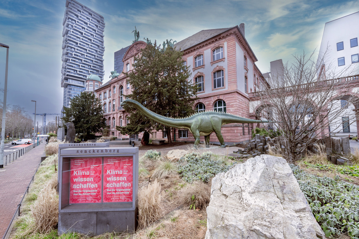 Senckenberg Hessen schafft Wissen