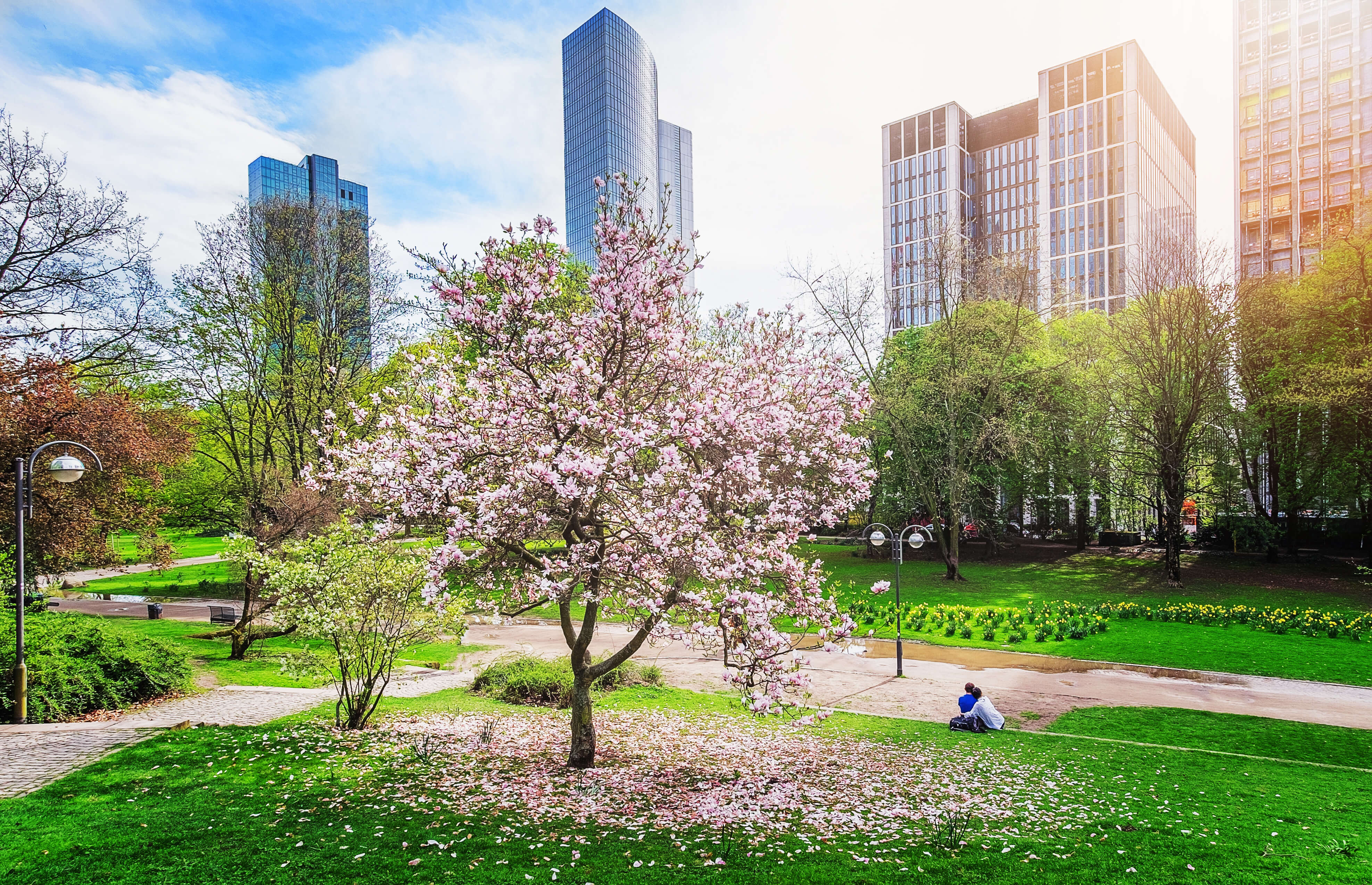 Wolkenkratzer und Park