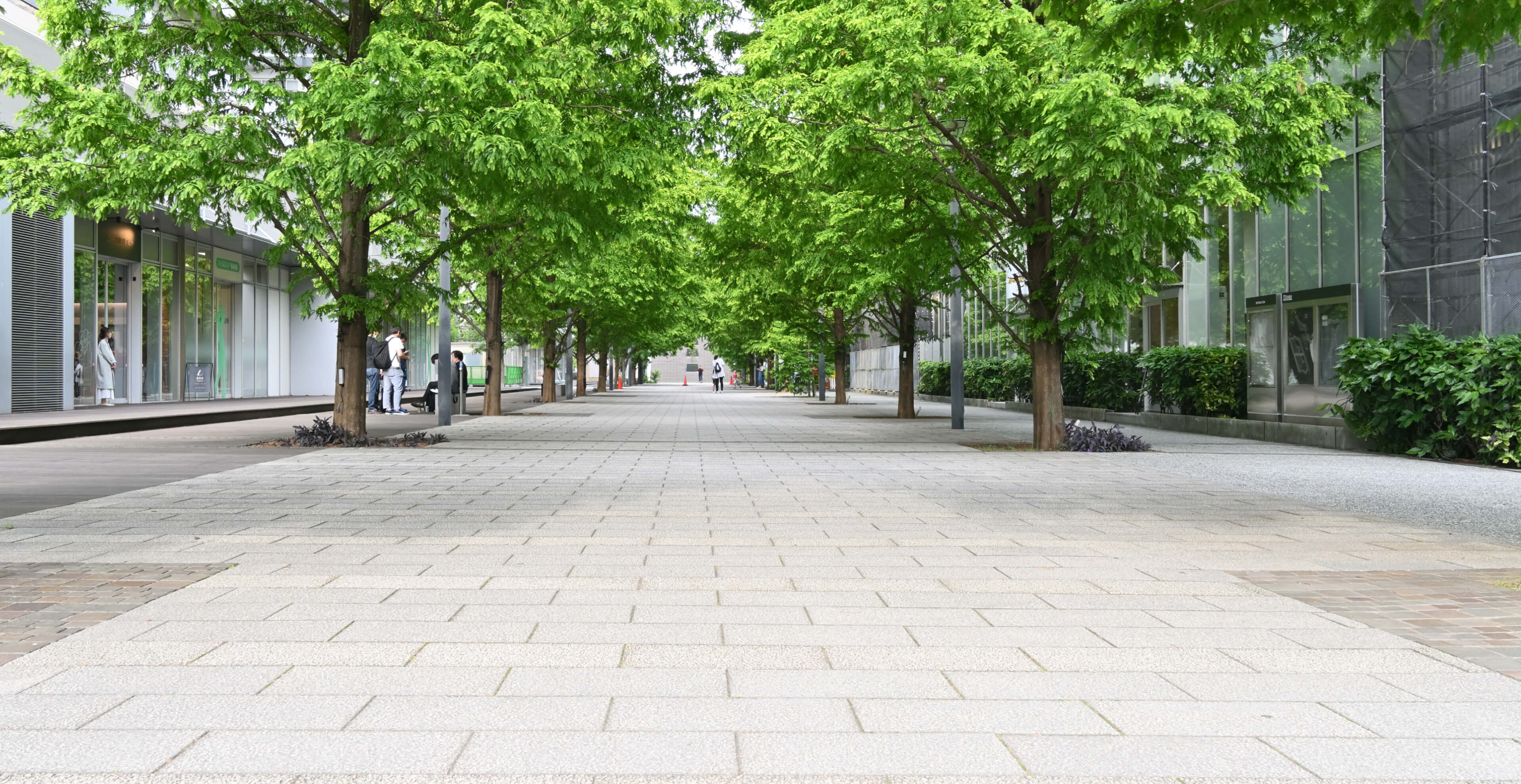 Fußgängerzone mit Bäumen