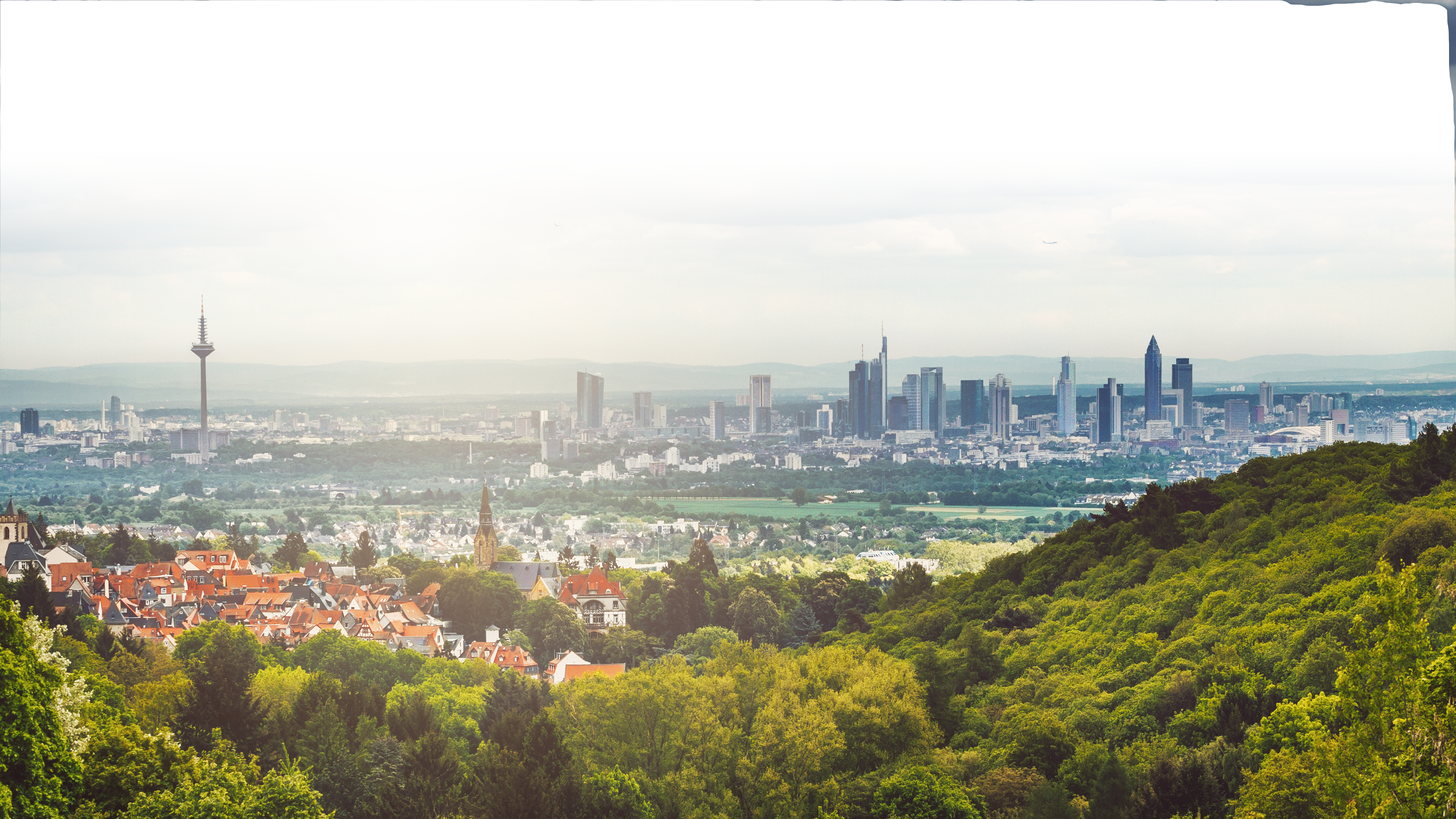 Stadt mit Wald im Vordergrund